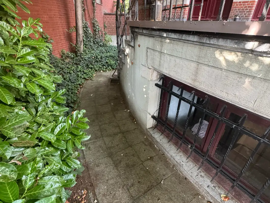 Terrasreiniging — Zijpad in betontegels langs het gebouw — voor