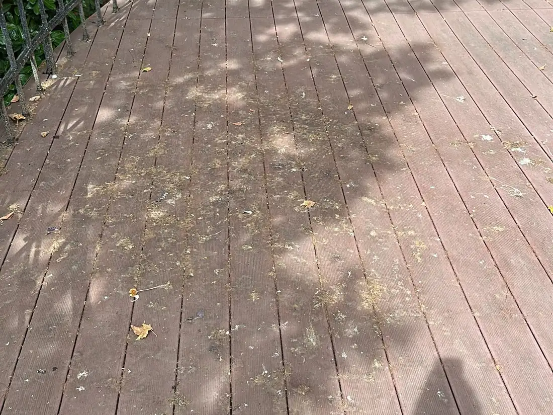 Terrasreiniging — Vlonderterras met groene aanslag tussen de planken — voor