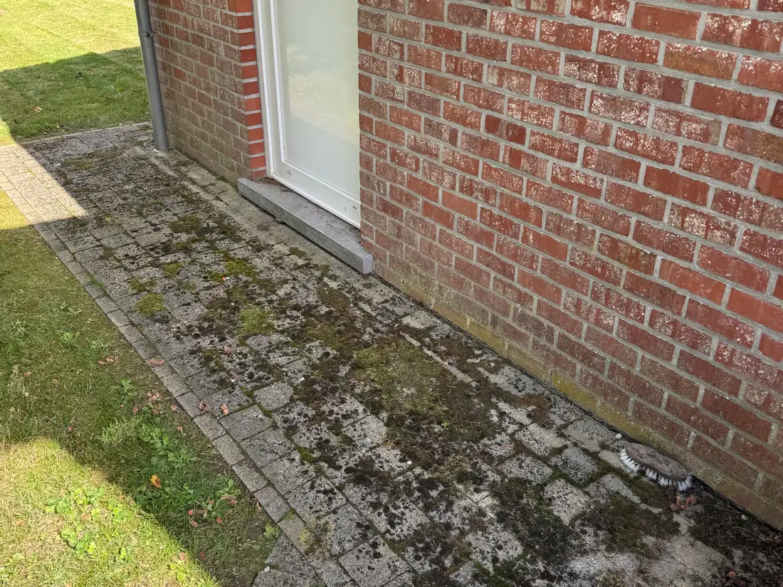 Bladeren opruimen vóór ze vlekken nalaten — voor